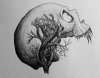 skull_of_gorgan_by_nominus_experse_dodhgx-pre.jpg